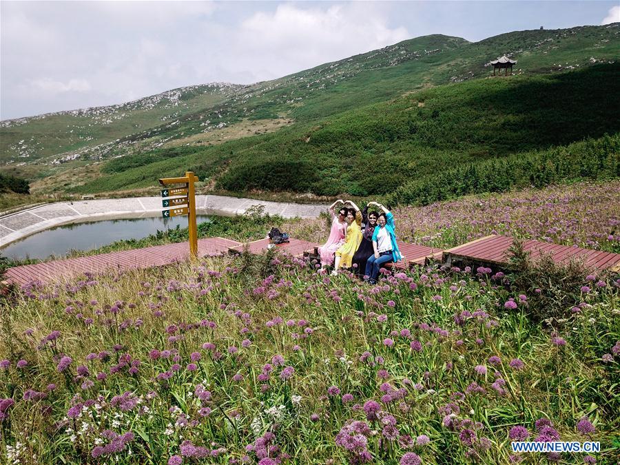 CHINA-GUIZHOU-CHIVE FLOWER (CN)