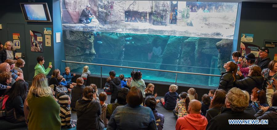 NEW ZEALAND-CHRISTCHURCH-ANTARCTIC CENTER