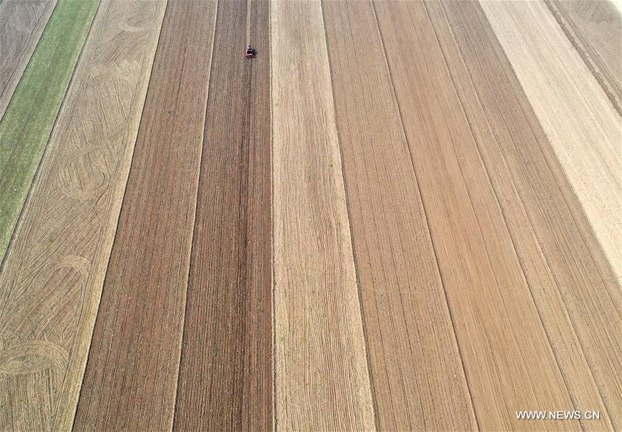 CHINA-HENAN-BAOFENG-FARMING (CN)