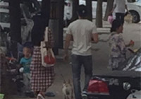 組圖：天天秀恩愛！范冰冰李晨甜蜜遛狗引圍觀