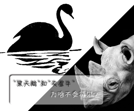 "黑天鵝"和"灰犀牛"為啥不受待見？