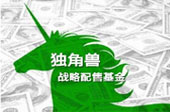 &ldquo;獨(dú)角獸基金&rdquo;帶給A股市場三大懸念