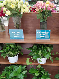 科技保障農(nóng)產(chǎn)品安全與營養(yǎng) 中國農(nóng)科院第三屆農(nóng)科開放日在京啟動(dòng)