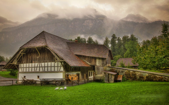 強調(diào)“美麗家園” 新農(nóng)村建設邁出新步伐