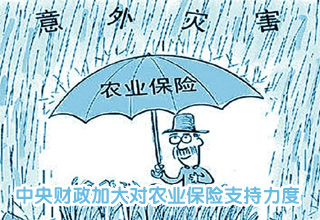 中央財政加大對農業(yè)保險支持力度