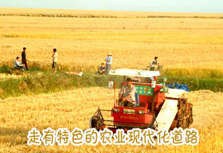 走有特色的農業(yè)現(xiàn)代化道路