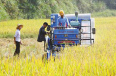 農村改革:24個試驗區(qū)允許政策和體制突破