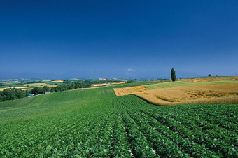 新聞背景:第二次全國(guó)土地調(diào)查