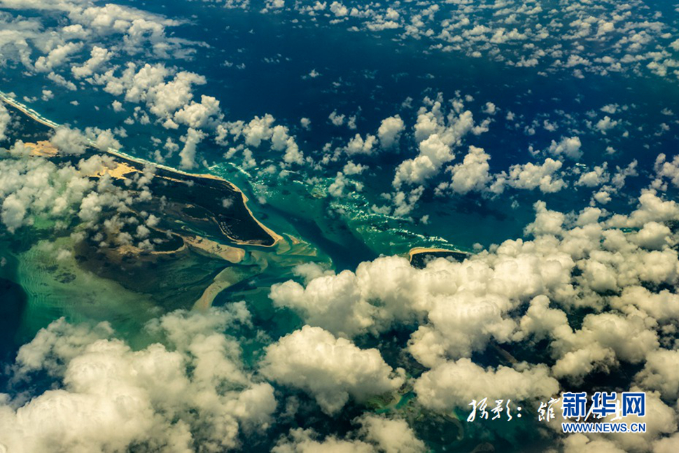 飛躍太平洋，跨越秋與春