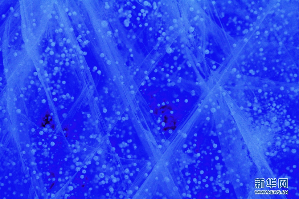 氣泡冰亮晶晶，藍(lán)精靈賽繁星