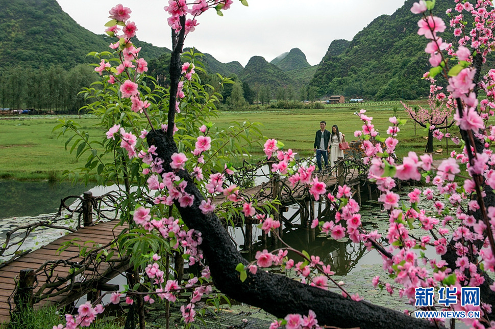 《桃花盛開的時(shí)候》
