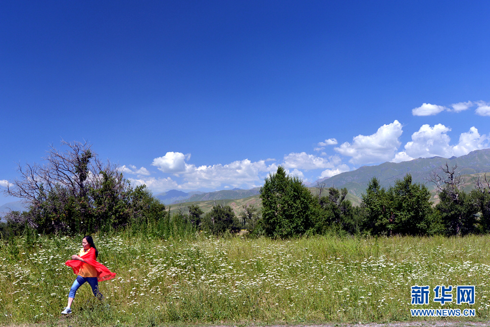 《那拉提草原》