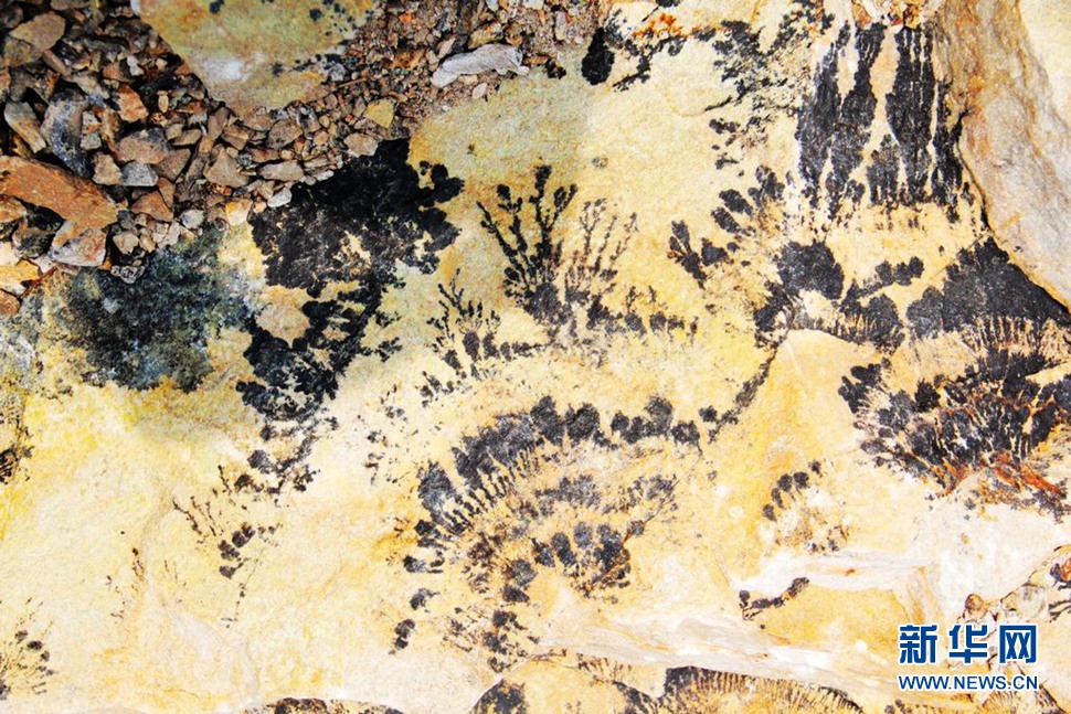 山東蓬萊巖石壁畫(huà)