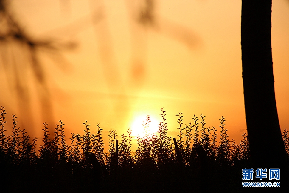 日落西山頭，人約黃昏后