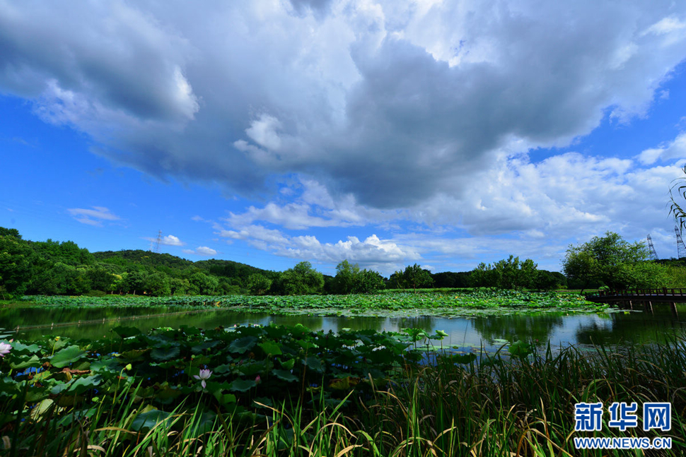 秋高氣爽，行攝八掛田