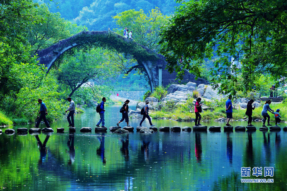 美呆了，中村