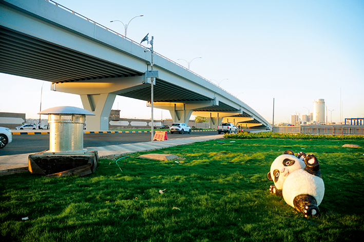 巴格达的椰枣树
