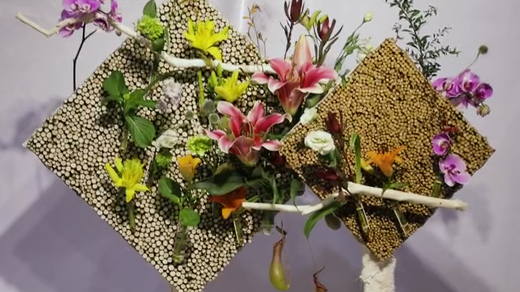 如此動(dòng)人，和百合來(lái)場(chǎng)約會(huì)吧！