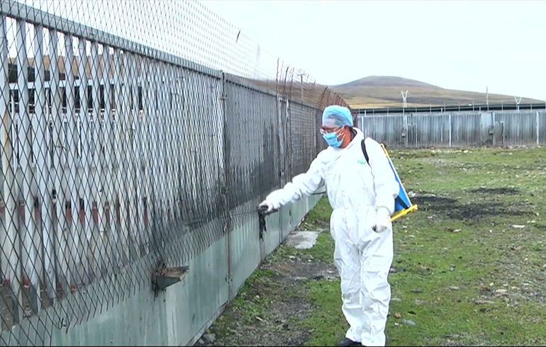 致敬偉大改革｜對話40年，講述身邊的健康故事（第二十一集）&mdash;&mdash;送瘟神