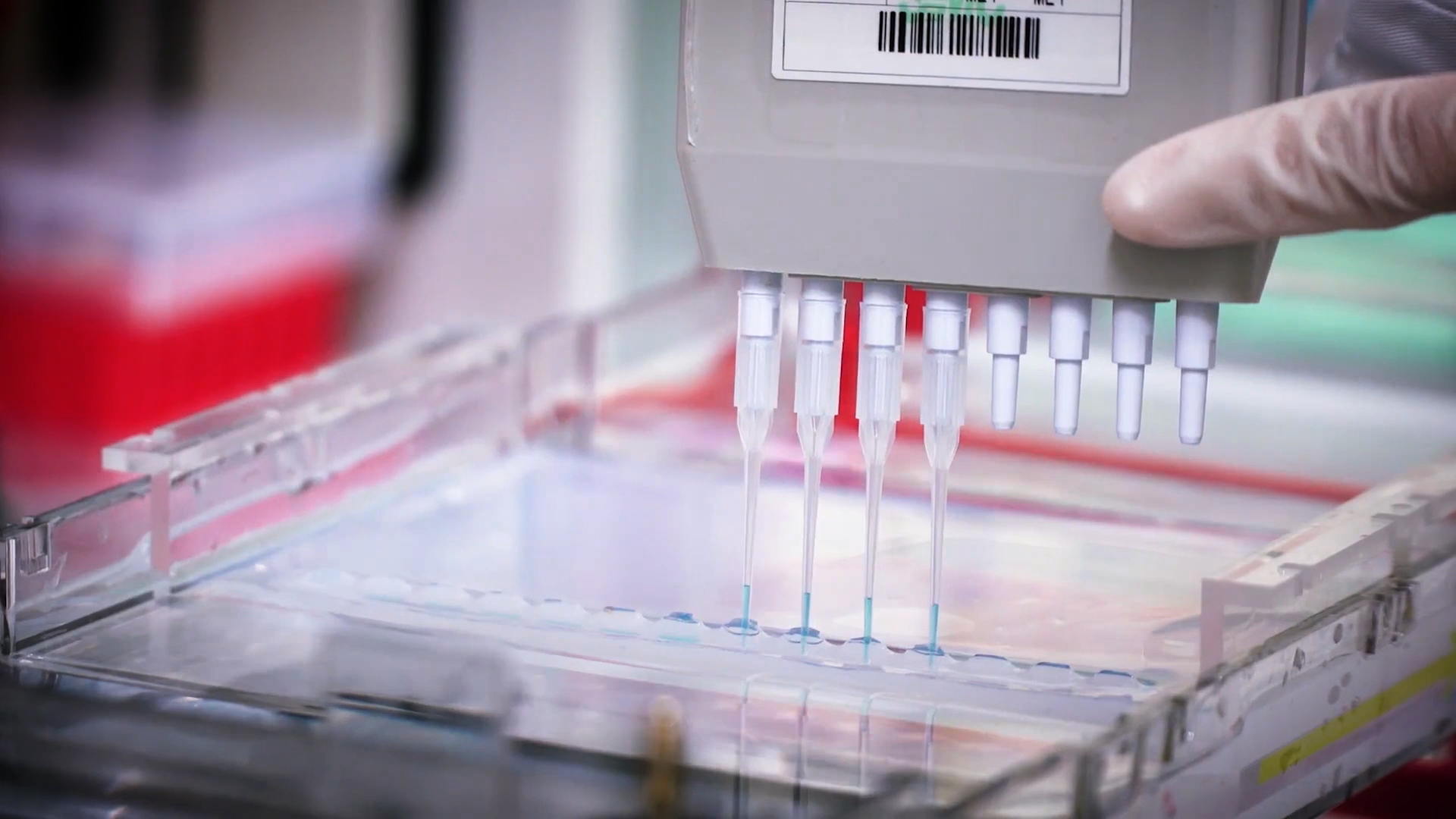 致敬偉大改革｜對(duì)話40年，講述身邊的健康故事32&mdash;打破醫(yī)學(xué)禁區(qū)，探尋生命奇跡