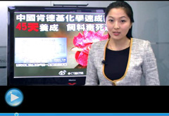 權(quán)威聲音：&ldquo;快時(shí)代&rdquo;究竟還有什么可以速成？