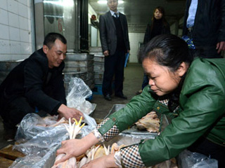 江西宰殺、冷凍積壓禽肉 緩解H7N9禽流感影響