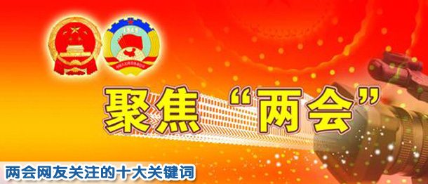 兩會網(wǎng)友關注議題調(diào)查:社會保障居首 反腐次之