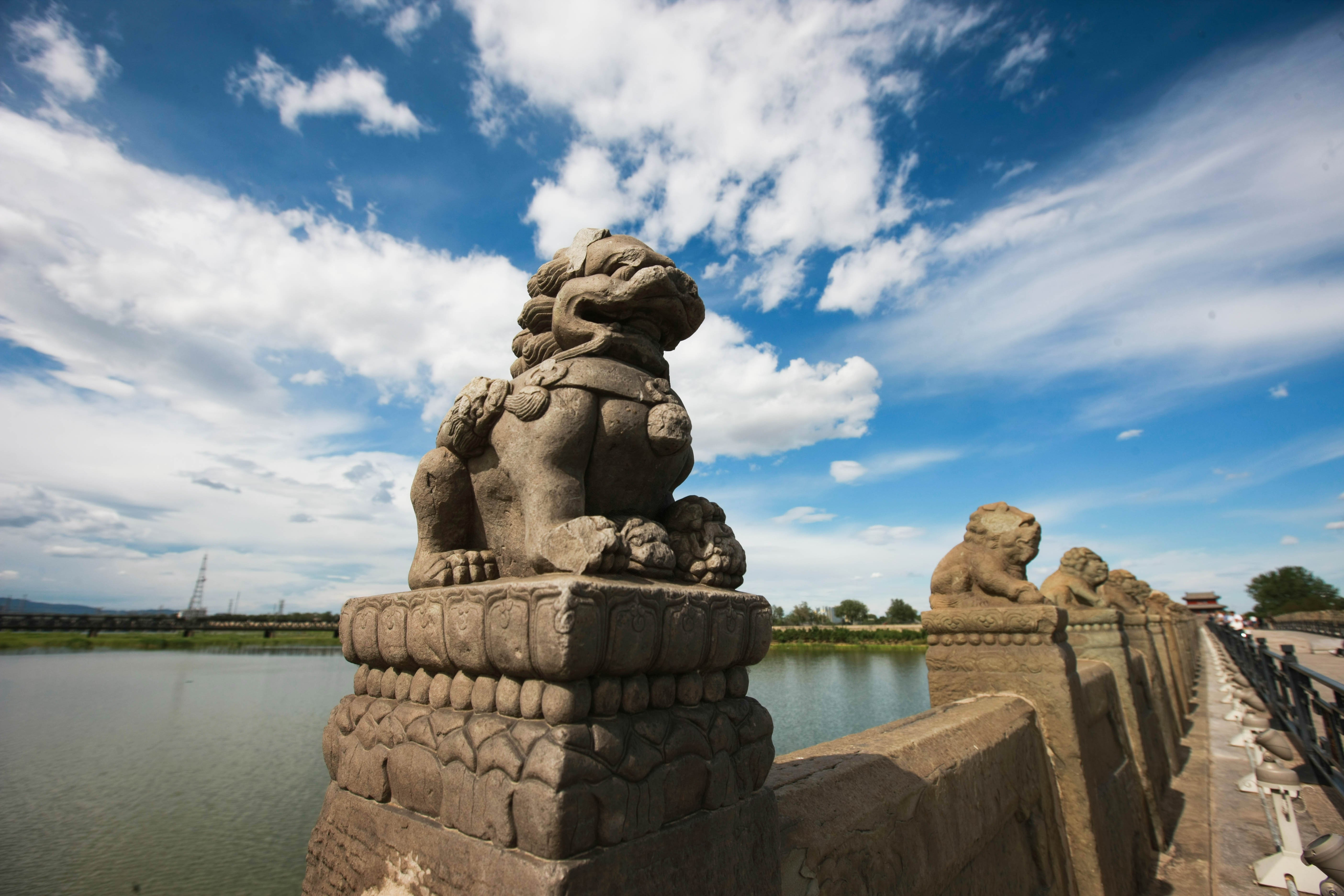 這些照片，來之不易