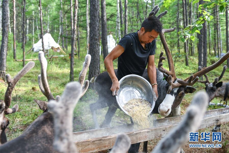 【聚焦脫貧攻堅(jiān)】這組數(shù)字，來之不易
