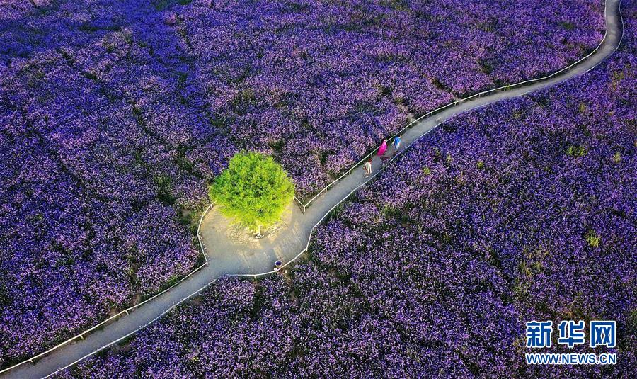 （十九大&middot;讀報告 話民生）（7）加快生態(tài)文明體制改革，建設美麗中國