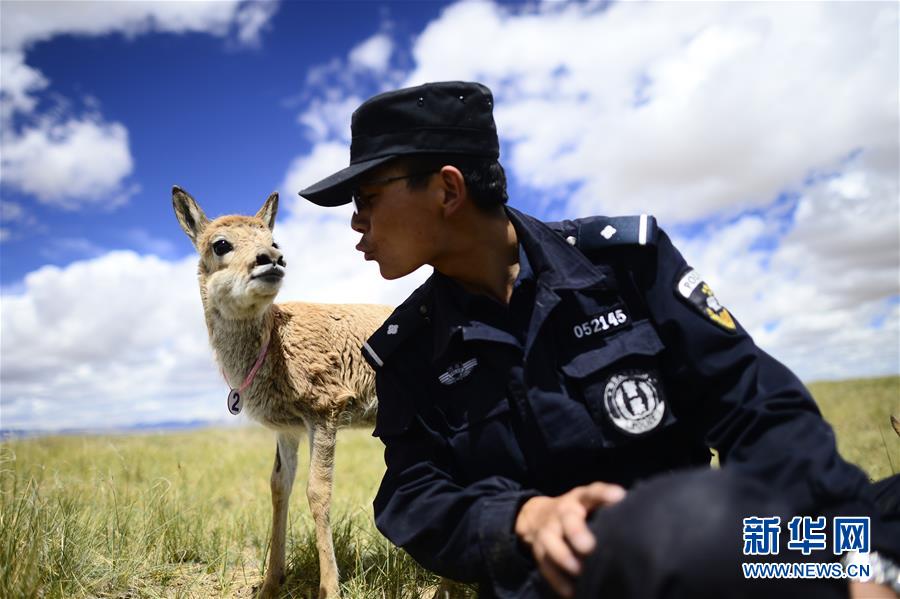 （十九大&middot;讀報(bào)告 話民生）（8）加快生態(tài)文明體制改革，建設(shè)美麗中國(guó)