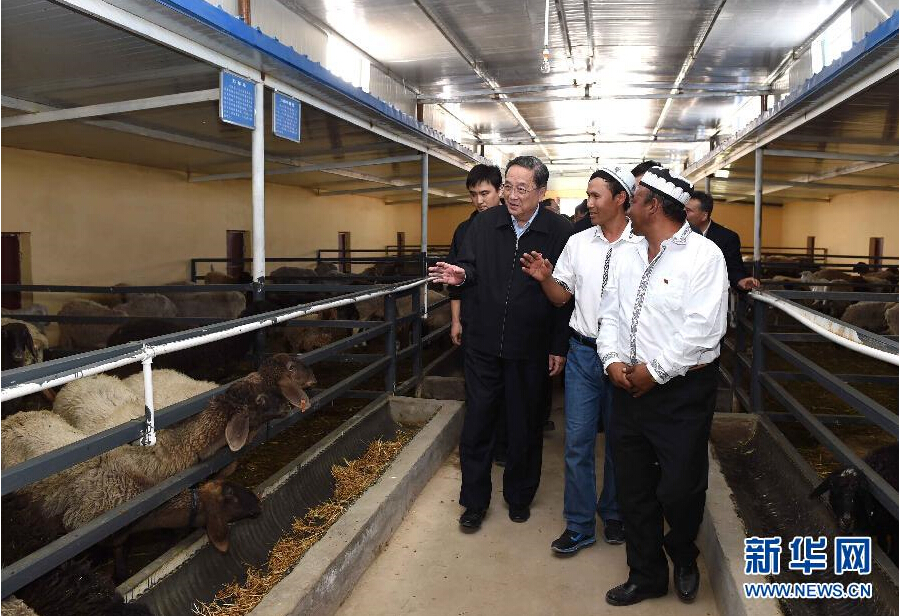 9月27日，中共中央政治局常委、全國(guó)政協(xié)主席、中央代表團(tuán)團(tuán)長(zhǎng)俞正聲率中央代表團(tuán)部分成員赴喀什地區(qū)莎車縣看望各族干部群眾。這是俞正聲在新疆生產(chǎn)建設(shè)兵團(tuán)第三師莎車農(nóng)場(chǎng)實(shí)地察看萬(wàn)只羊養(yǎng)殖基地。新華社記者 饒愛民 攝