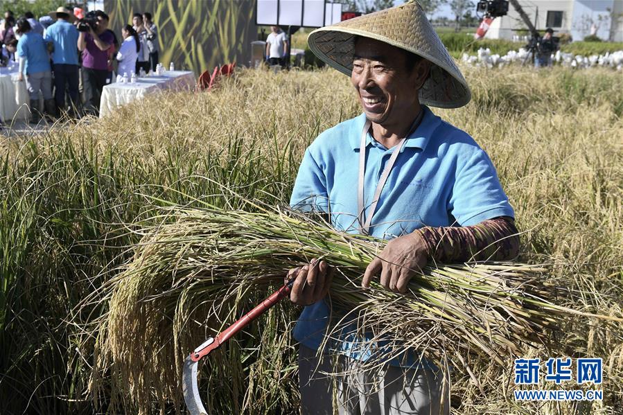 (新華全媒頭條·圖文互動)(2)歷史性飛躍的偉大實踐——中國共產(chǎn)黨引領(lǐng)中國特色社會主義開辟發(fā)展新境界述評