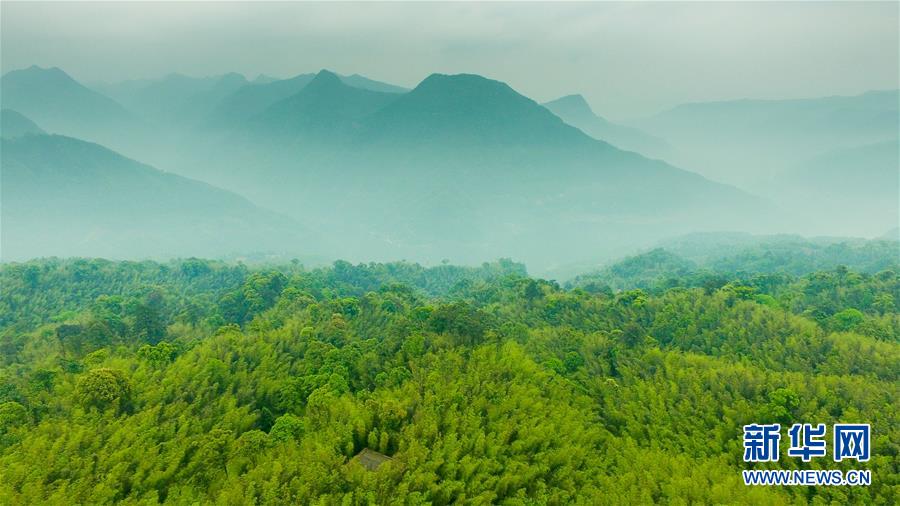 （新華全媒頭條&middot;圖文互動）（9）赤水：別了，貧困！