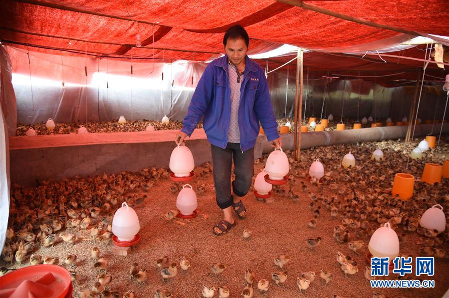 （新華全媒頭條&middot;圖文互動）（8）赤水：別了，貧困！