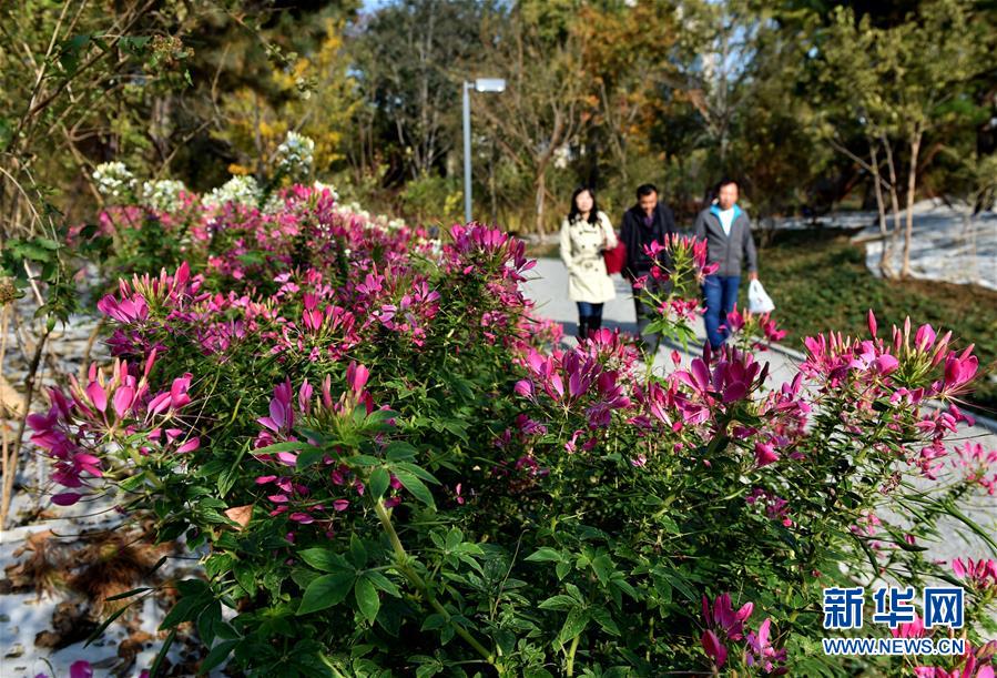 （圖文互動）（1）藍(lán)天白云講述北京新時代新故事&mdash;&mdash;北京站上新時代發(fā)展新起點