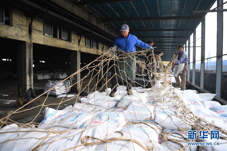 （新春走基層）（4）安徽：農(nóng)資&ldquo;春運(yùn)&rdquo;助春耕