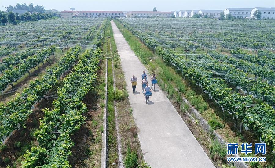 （新華全媒頭條&middot;紀(jì)念改革開放40年特稿&middot;圖文互動）（5）向著新航程揚(yáng)帆奮進(jìn)！&mdash;&mdash;從小崗精神看中國改革開放40年