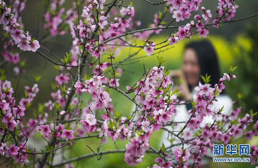 #（社會(huì)）（1）春暖花開(kāi)迎客來(lái)