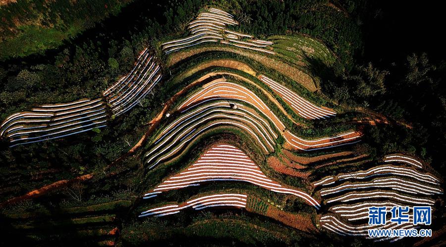 （春季美麗生態(tài)）（10）飛閱邊關山田春景