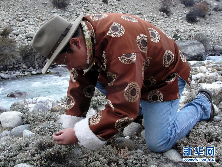 （新華全媒頭條&middot;圖文互動）（2）一顆種子的答案&mdash;&mdash;雪域高原播種者鐘揚(yáng)的&ldquo;精神珠峰&rdquo;