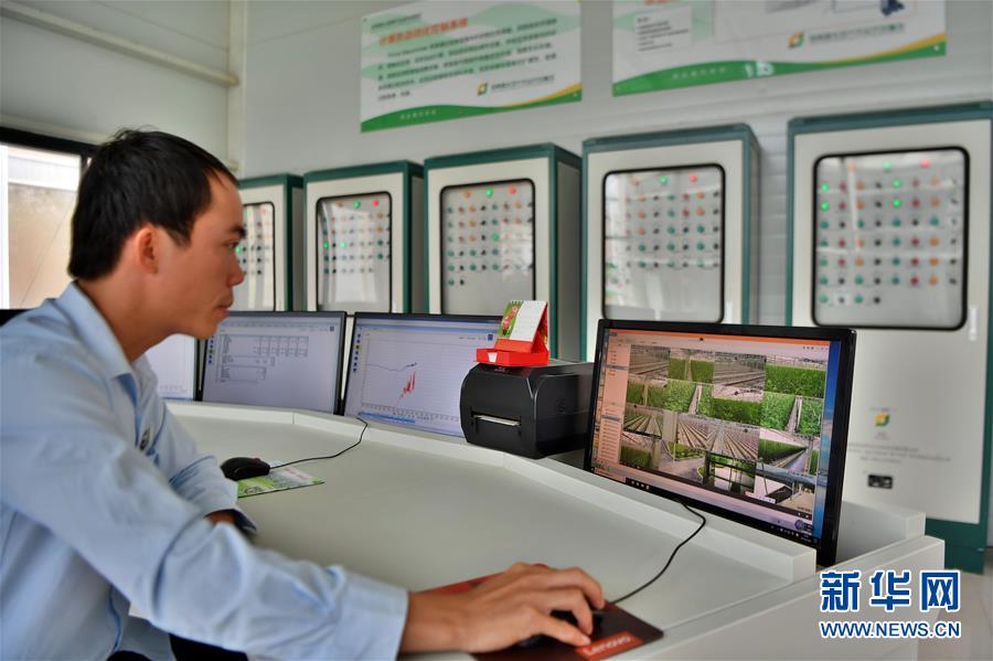 (社會(huì))(3)科技助力海南現(xiàn)代農(nóng)業(yè)發(fā)展