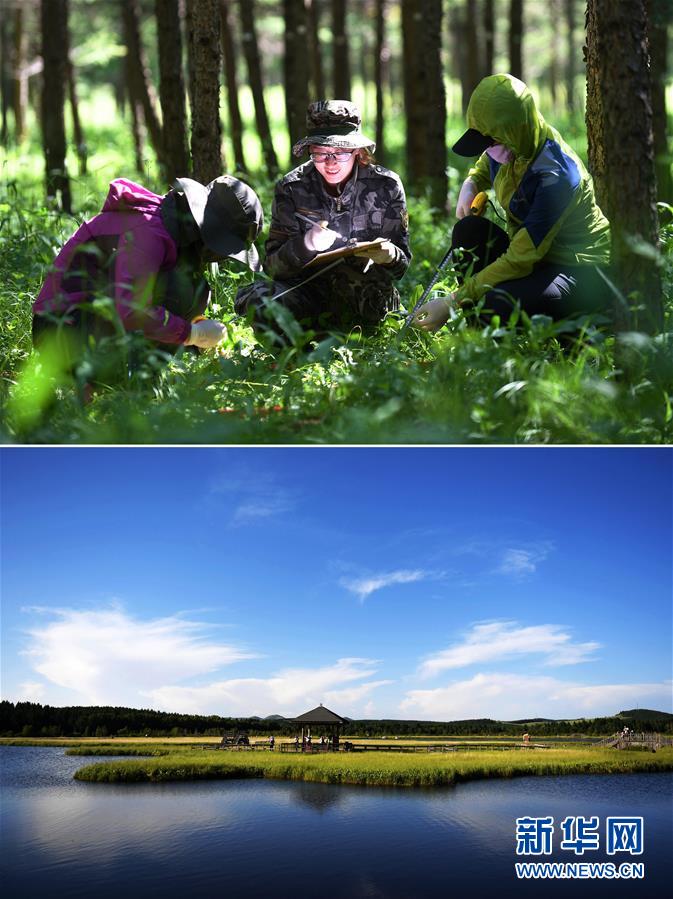 (新華全媒頭條·圖文互動)(4)領(lǐng)航新時代中國經(jīng)濟航船——從中央財經(jīng)領(lǐng)導(dǎo)小組會議看以習(xí)近平同志為核心的黨中央駕馭中國經(jīng)濟