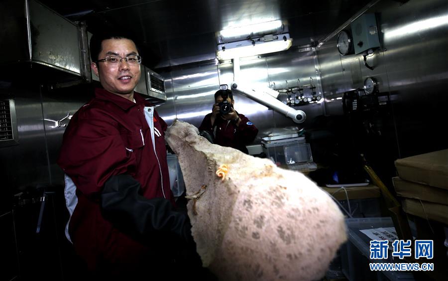 (圖文互動(dòng))(6)“科學(xué)”號(hào)在麥哲倫海山展開綜合調(diào)查