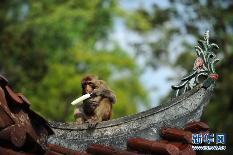 （鏡觀中國&middot;新華網(wǎng)）（5）新華社國內照片一周精選