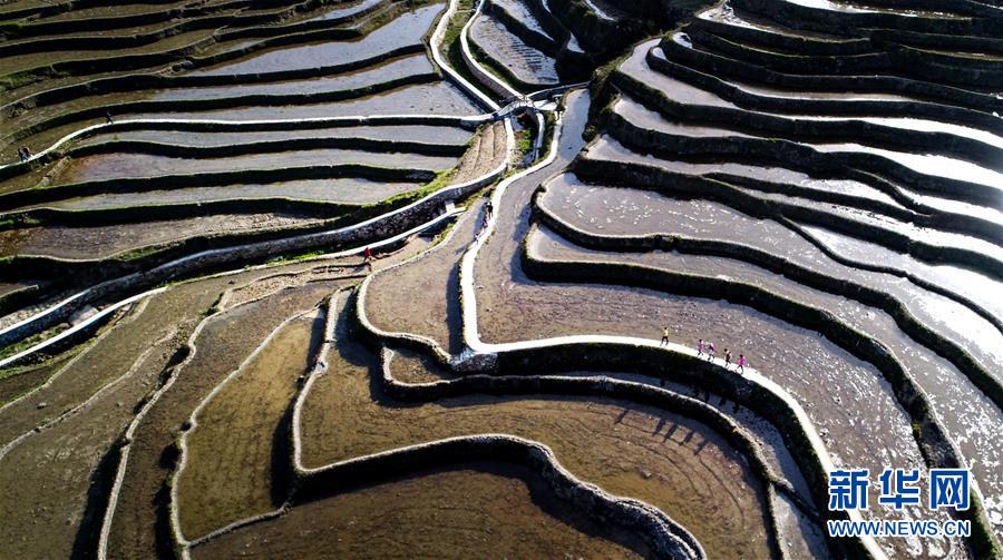 (社會(huì))(4)湖北蘄春:梯田景觀成就扶貧產(chǎn)業(yè)