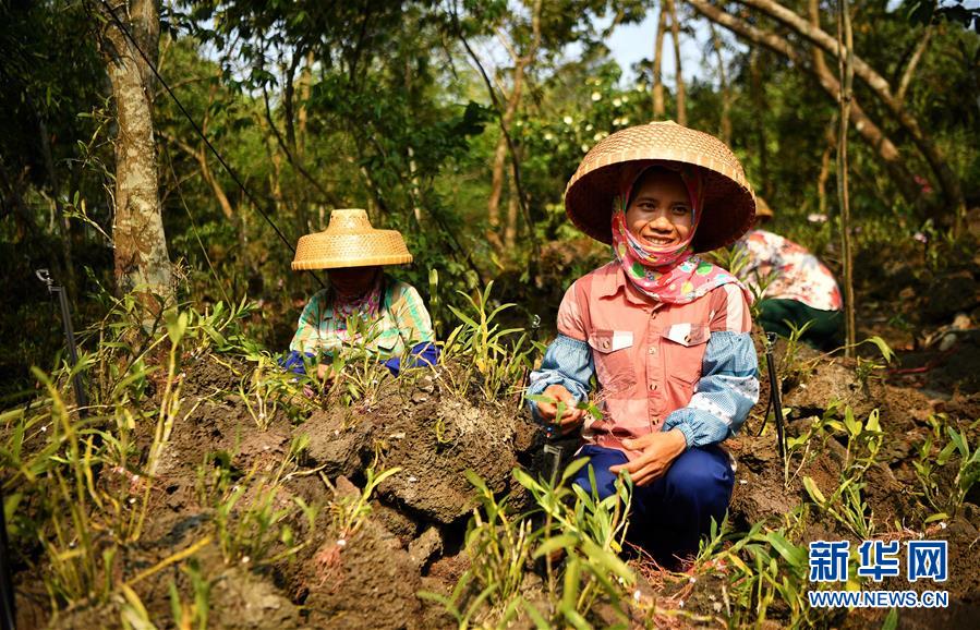 (新媒體專線)(6)立足獨特優(yōu)勢 勇立改革潮頭——習(xí)近平總書記在海南考察回訪記