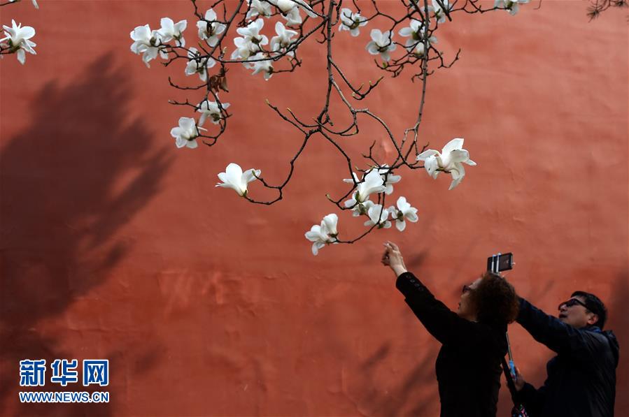 (在習(xí)近平新時代中國特色社會主義思想指引下——新時代新氣象新作為·新華全媒頭條·圖文互動)(1)最濃是這中國紅——北京市西城區(qū)弘揚紅墻意識深化改革發(fā)展紀(jì)實
