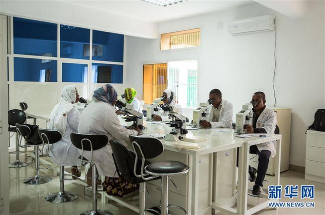 （新華全媒頭條&middot;世界防治瘧疾日&middot;圖文互動）（2）&ldquo;月亮之國&rdquo;的驅(qū)魔人&mdash;&mdash;記非洲抗瘧戰(zhàn)場上的廣東團隊