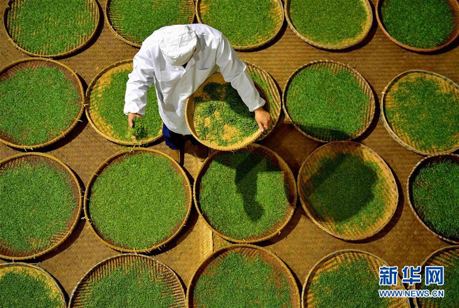 #(社會(huì))(3)人間至味“冷后渾”